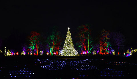 Christmas at Cantigny